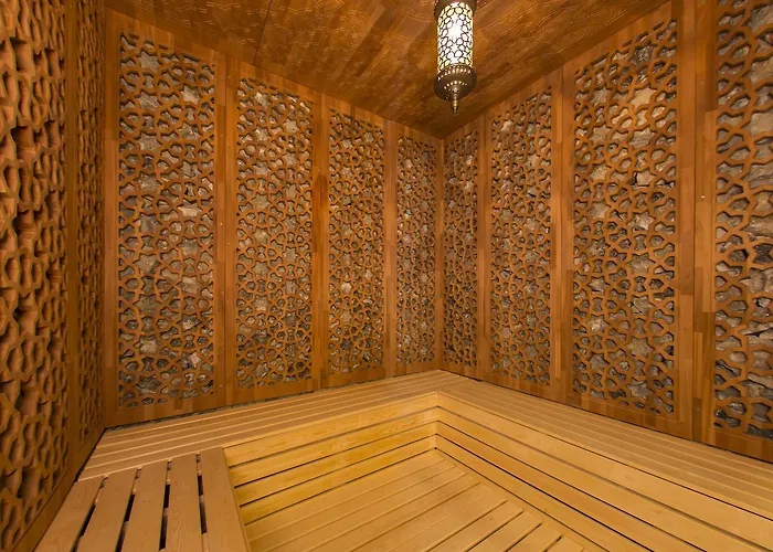 ホテル Gherdan Gold 4*